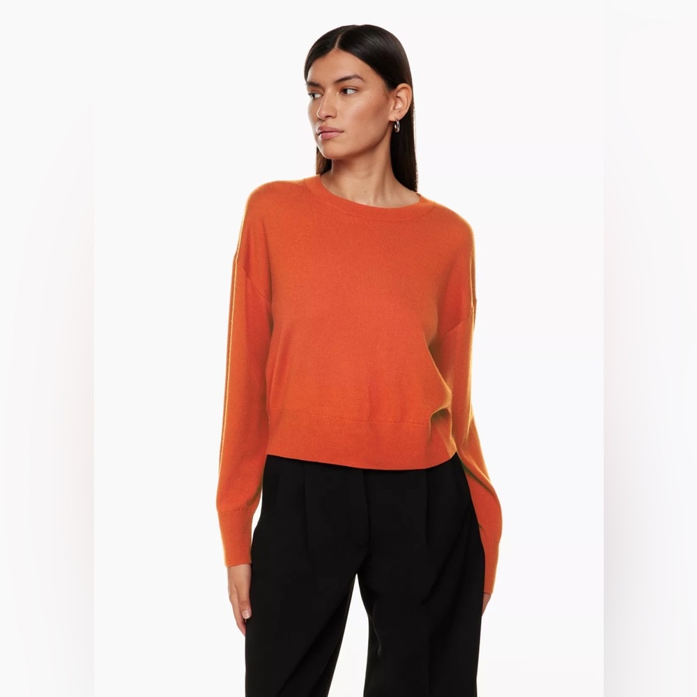 Cashmere Aritzia Sweater
